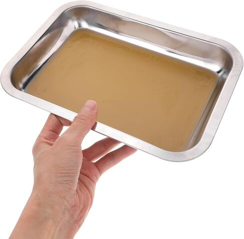 Stainless Steel Dissection Tray with Wax Pan, Biological Laboratory Organizer Tray, Lab Dissection Pan for Medical and Educational Use in Saudi Arabia