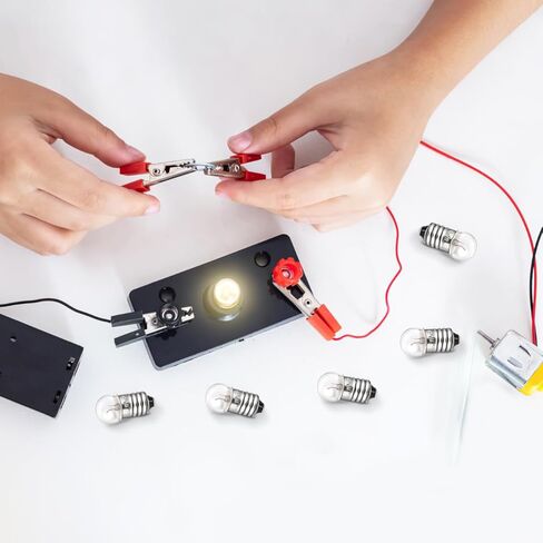 Generic 50pcs E10 Miniature Light Bulbs: 1.5 V Incandescent Screw Light Bulbs Teaching Tools for School Labs, Essential for DIY Physics Science Experiments, 0.3A in Kuwait