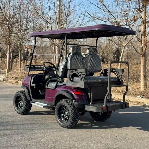 عربة جولف كهربائية LANGWEI ذات 4 مقاعد، مركبة جولف بمحرك طويلة المدى للبالغين لملاعب الجولف والترفيهية والزراعية والتجارية in Kuwait