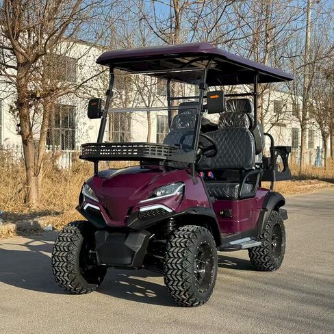 عربة جولف كهربائية LANGWEI ذات 4 مقاعد، مركبة جولف بمحرك طويلة المدى للبالغين لملاعب الجولف والترفيهية والزراعية والتجارية in Kuwait