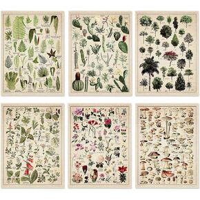 Set of 6 Plant Poster Vintage Botanical Prints 12 x 16 Inch Decorative Wrap Poster Tree Wall Art Picture Vintage Mushroom Decor Floral Nature Poster for Wall Cactus Posters Prints