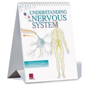 Understanding the Nervous System Flip Chart (Anatimical Flip Chart)