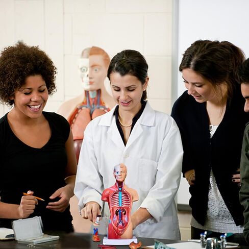 3D Human Body Model for Kids, Age 4+, 10.6in Removable 15Pcs Mini Torso Anatomy Model with Heart Head and Skull, Skeleton Model Study Tools Preschool & School Medical Education Display in Kuwait