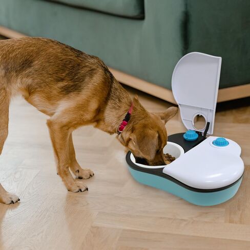 Automatic 2-Meals Pet Food Feeder for Dogs and Cats, Pet Food Dispenser for Two Meals Within 48 Hours in Kuwait