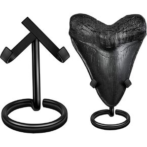 Megalodon Shark Tooth Display Stand (2 Sets), Medium & Large Tooth Holders, Rust-Resistant 5mm Thick Wire Metal Stand, No Assembly Required, Elegant Fossil Collector Display for Megalodon Teeth in Kuwait