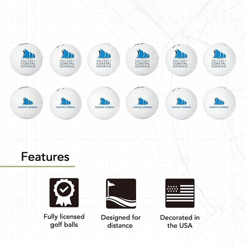 Desert Cactus College of Coastal Georgia Golf Balls 12 Pack – CCG Mariners Full Color Dozen – Officially Licensed Sport Team Accessory in Saudi Arabia