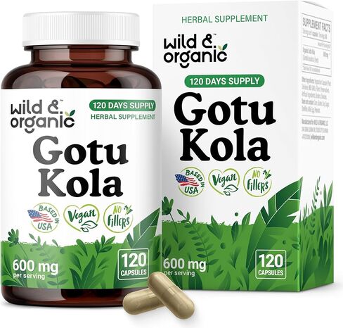 Capsules Gotu Kola Wild والعضوية 600 ملغ - دعم الدماغ والتركيز - ملحق مسحوق Gotu Kola - مستخلص Gotu Kola - 90 يومًا من الإمداد - نباتي ، بدون مواد حشو ، غير معدلة وراثي - 90 in Saudi Arabia