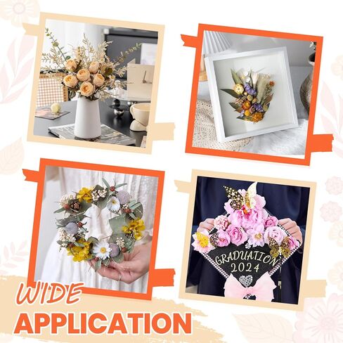 جل السيليكا لتجفيف الزهور 6 رطل، بلورات جل السيليكا لتجفيف الزهور <1 مم، جل السيليكا لتجفيف الزهور، لون قابل لإعادة الاستخدام، مجموعة تجفيف الزهور، صندوق، فرش، قفازات ومغرفة، DIY الزفاف in Kuwait