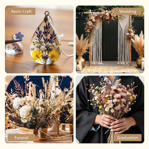 حاوية تجفيف زهور كبيرة من جل السيليكا سعة 10 لتر من أبوفكس مع قفازات حصيرة التنظيف ومجرفة وقناع، خطوة واحدة لاستعادة الزهور المجففة للحرف اليدوية، مجموعة الحفاظ على الزهور (بلورات جل السيليكا غير متضمنة) in Kuwait