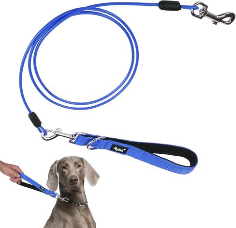 PUPTECK Chew Proof Dog Leash for Small Medium Large Dogs, Heavy Duty Dog Leashes with Padded Handle, Steel Cable Lead with Detachable Short Leash for Training Walking, Hot Pink in Kuwait