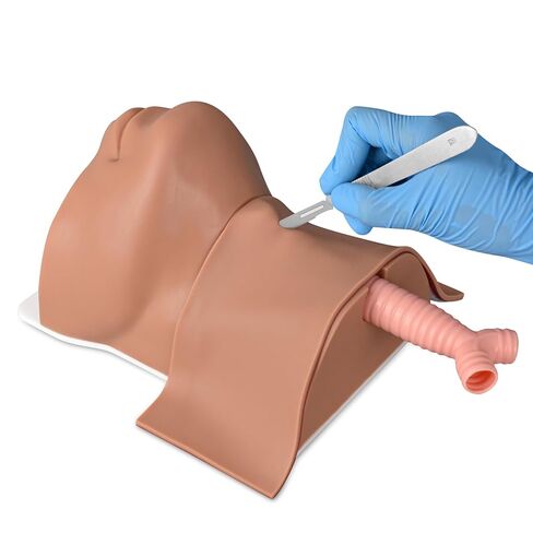 مدرب مهام CRICOTHYROTOMY ، CRICOTHYROTY Simulator Cricothyrotomy ومدرب فغر القصبة الهوائية - الجلد الفاتح in Kuwait