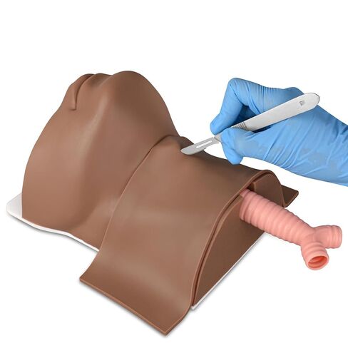 مدرب مهام CRICOTHYROTOMY ، CRICOTHYROTY Simulator Cricothyrotomy ومدرب فغر القصبة الهوائية - الجلد الفاتح in Kuwait