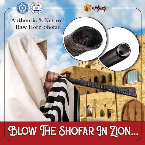 Exotic Shofar Gemsbok Oryx Horn Set – Half Polished - Plus Original Kabbalah Red String Bracelet from Israel (20"-24") in Kuwait