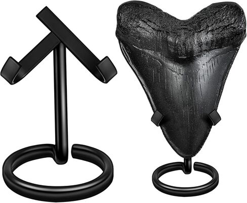 حامل عرض أسنان القرش من ميجالودون (مجموعتان)، حامل أسنان متوسط ​​وكبير، حامل معدني سلكي مقاوم للصدأ بسمك 5 مم، لا يتطلب تجميع، عرض أنيق لجامع الأحافير لأسنان ميجالودون in Kuwait