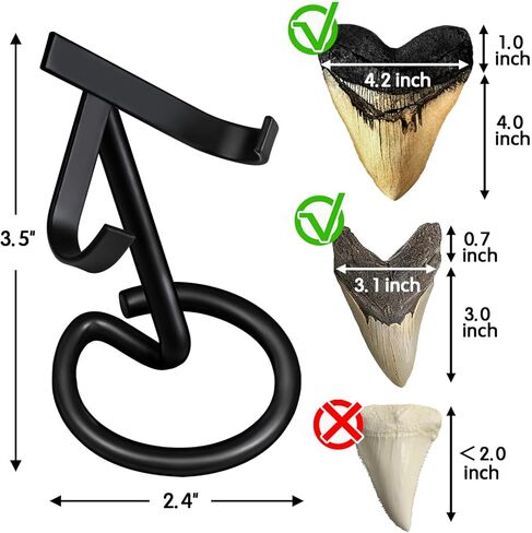 حامل عرض أسنان القرش من ميجالودون (مجموعتان)، حامل أسنان متوسط ​​وكبير، حامل معدني سلكي مقاوم للصدأ بسمك 5 مم، لا يتطلب تجميع، عرض أنيق لجامع الأحافير لأسنان ميجالودون in Kuwait