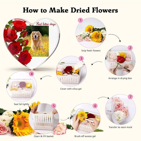 مجموعة بلورات تجفيف الزهور من جل السيليكا من أبوفكس مع صندوق تخزين سعة 5 لتر، وقفازات وقالب على شكل حب لراتنج الزهور المجففة بنفسك، واسترداد الزهور المجففة في خطوة واحدة، ومجموعة الحفاظ على الزهور لمحبي الحرف اليدوية in Kuwait