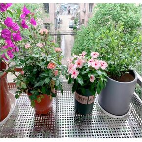 304 Stainless Steel Perforated Sheet 10mm Holes - Balcony Protection Metal Plate, Leak-Proof Window Pads (35x120 cm) - Weather-Resistant & Durable Outdoor Cover in Kuwait