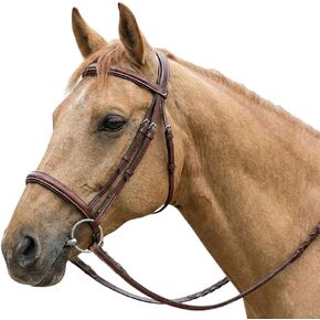 Henri de Rivel Pro Fancy Raised Comfort Crown Padded Bridle with Fancy Raised Reins in Kuwait