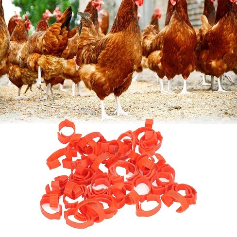 Foot Tag Clips Bird Ring Leg Bands, Chicken Leg Rings Pack of 50 Retractable Numbered 1-50 Plastic for Ducks Geese Poultry in Kuwait