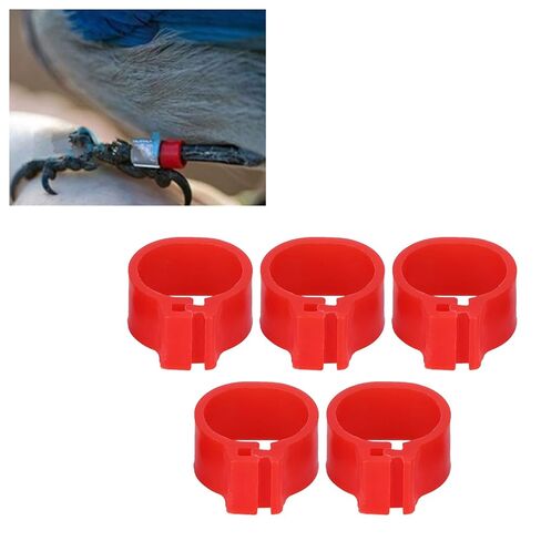 مشابك علامة القدم على شكل حلقة للطيور، حلقة للقدم للحمام 10 ملم باللون الأحمر 200 قطعة للتعرف على الطيور وتدريبها بدون وضع علامات على الكلمات in Kuwait