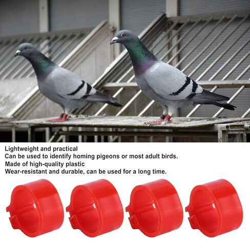مشابك علامة القدم على شكل حلقة للطيور، حلقة للقدم للحمام 10 ملم باللون الأحمر 200 قطعة للتعرف على الطيور وتدريبها بدون وضع علامات على الكلمات in Kuwait
