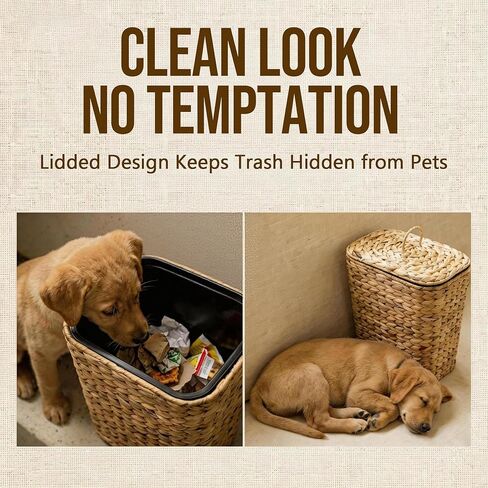 سلة مهملات من الخوص سعة 2.6 جالون مع غطاء، سلة مهملات منسوجة يدويًا من صفير الماء مع صندوق داخلي بلاستيكي قابل للإزالة، سلة مهملات صغيرة من الروطان المزخرفة للحمام وغرفة النوم والمكتب والمطبخ in Kuwait