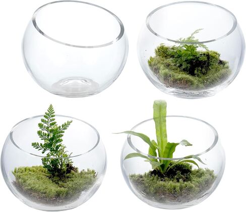 MyGift 5 بوصة قسط من النباتات الزجاجية الصافية terrarium ، mini candy Bowl Jar ، حامل شمعة Tealight ، مزهرية مصنع الصبار النضرة ، مجموعة من 2 in Kuwait