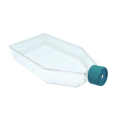 SPL Cell Culture Flask 175 cm2 (T175) Filter Cap, Treatment, Sterile, 40/Case in Saudi Arabia