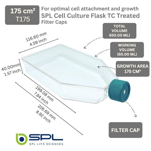 SPL Cell Culture Flask 175 cm2 (T175) Filter Cap, Treatment, Sterile, 40/Case in Saudi Arabia