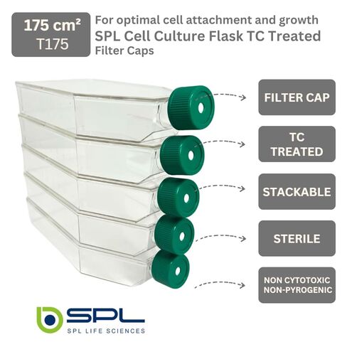 SPL Cell Culture Flask 175 cm2 (T175) Filter Cap, Treatment, Sterile, 40/Case in Saudi Arabia