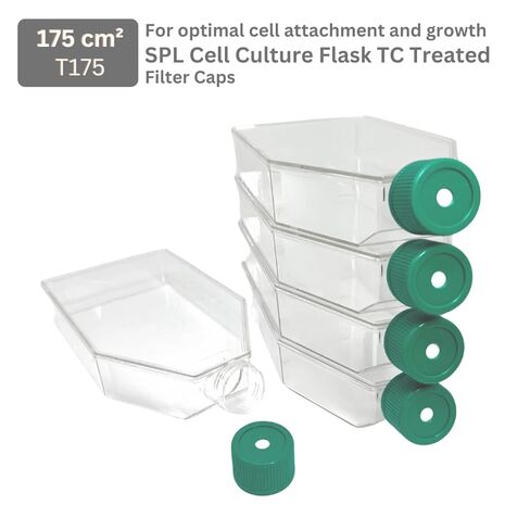 SPL Cell Culture Flask 175 cm2 (T175) Filter Cap, Treatment, Sterile, 40/Case in Saudi Arabia