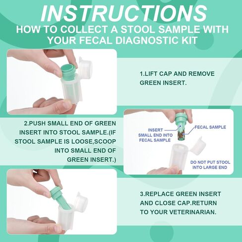 50 Pcs Fecal Diagnostic Kit Animal Pet Stool Sample Collection Kit Cat Dog Test for Stool Sample Fecal Test in Saudi Arabia
