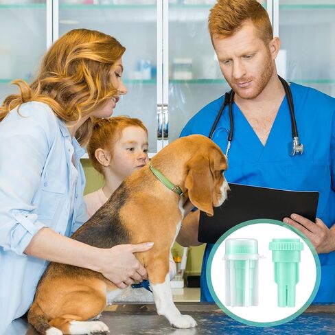 50 Pcs Fecal Diagnostic Kit Animal Pet Stool Sample Collection Kit Cat Dog Test for Stool Sample Fecal Test in Saudi Arabia