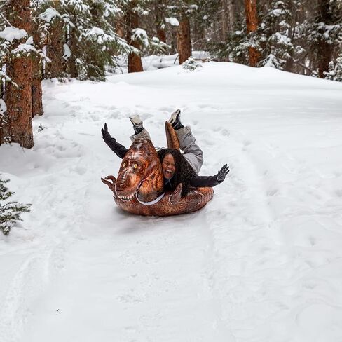 Animal Inflatable Snow Sled, Multiple Animal Styles in Kuwait