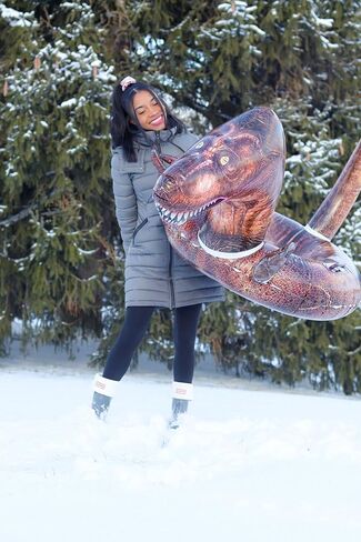 Animal Inflatable Snow Sled, Multiple Animal Styles in Kuwait