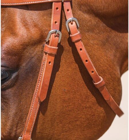 Schneiders Browband Training Bridle with Quick Change Snaps | Ideal for Everyday Riding | Supple Leather | Easy Bit Changes with Chrome Plated Snaps | Adjustable Fit for Most Horses | Size Full Horse in Saudi Arabia