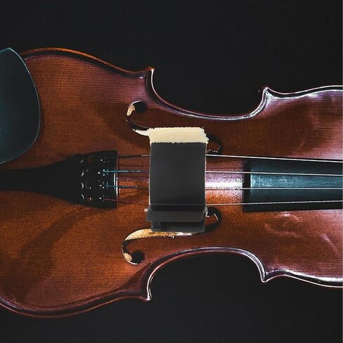 Violin Fingerboard Cleaner Fretboard Scrubber Cloth String Cleaning Tool for Violin and Viola Musical Instrument Maintenance Care in Saudi Arabia