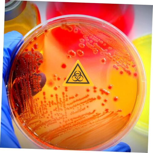 10pcs Warning Labels Decals for Laboratory Safety Caution Stickers for Communication Easy to Use Lightweight and in Saudi Arabia