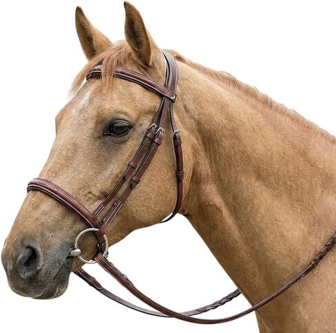 Henri de Rivel Pro Fancy Raised Comfort Crown Padded Bridle with Fancy Raised Reins in Saudi Arabia