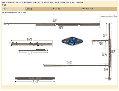 لجام مبطن من Henri de Rivel Pro Fancy Raised Comfort مع زمام مرتفع فاخر in Kuwait