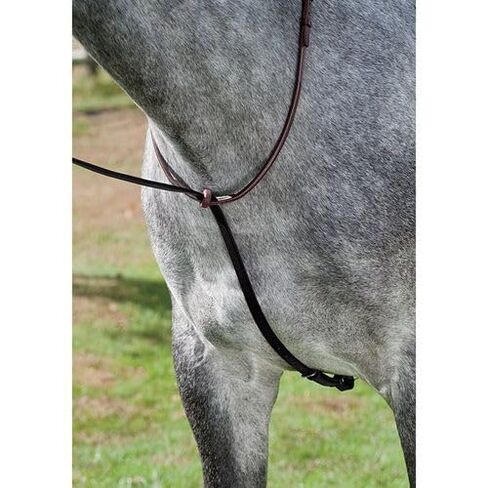 Dover Saddlery Deluxe Standing Martingale, Color: Chocolate, Size: Oversize-O/S in Saudi Arabia