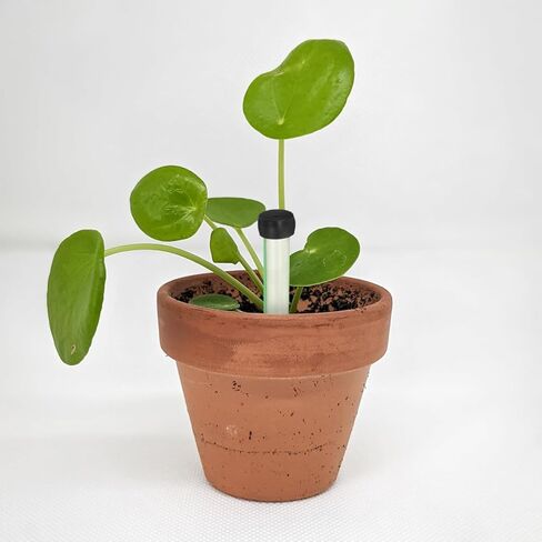 LALAFINA 50Pcs Floral Water Tubes with Caps 4.13In Transparent Nutrient Vials for Fresh Cut Flower Stems Hydroponic Flower Water Retention Containers in Saudi Arabia