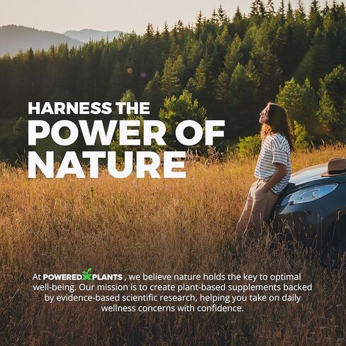 Takesumi Activated Charcoal Capsules 2500MG - Pure Activated Charcoal Supplement from Bamboo for Max Absorption, Detox & Gut Nutrition - 120 Vegetarian Capsules by Powered X Plants in Kuwait