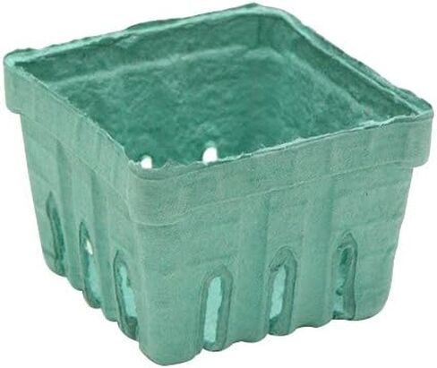 سلة Pactiv مقاس 1 لتر من Garden Party Berigard Berry مصبوبة من الألياف باللون الأخضر | 297/القضية in Kuwait