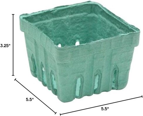 سلة Pactiv مقاس 1 لتر من Garden Party Berigard Berry مصبوبة من الألياف باللون الأخضر | 297/القضية in Kuwait