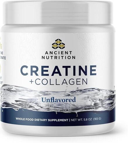Ancient Nutrition Creatine + Collagen - قوة العضلات، كتلة الجسم الهزيل، راحة المفاصل والدعم المعرفي - يتضمن 5 جرام من الكرياتين مونوهيدرات للنساء، 30 حصة in Saudi Arabia