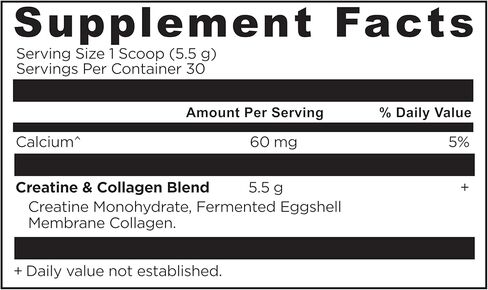 Ancient Nutrition Creatine + Collagen - قوة العضلات، كتلة الجسم الهزيل، راحة المفاصل والدعم المعرفي - يتضمن 5 جرام من الكرياتين مونوهيدرات للنساء، 30 حصة in Saudi Arabia