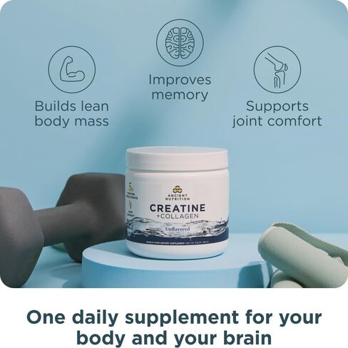 Ancient Nutrition Creatine + Collagen - قوة العضلات، كتلة الجسم الهزيل، راحة المفاصل والدعم المعرفي - يتضمن 5 جرام من الكرياتين مونوهيدرات للنساء، 30 حصة in Saudi Arabia