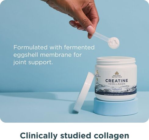 Ancient Nutrition Creatine + Collagen - قوة العضلات، كتلة الجسم الهزيل، راحة المفاصل والدعم المعرفي - يتضمن 5 جرام من الكرياتين مونوهيدرات للنساء، 30 حصة in Saudi Arabia