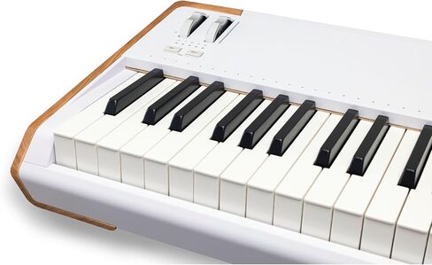 Arturia AstroLab 88 Stage Keyboard in Saudi Arabia